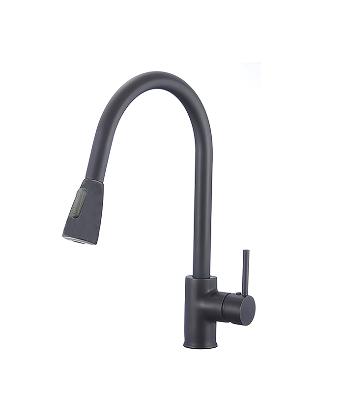Kitchen Sink Faucets OF204-DBK